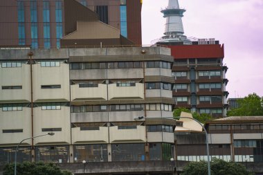 Auckland Üniversitesi binaları, şehir gökdelenleri ve Domain Park 'tan Auckland Kulesi