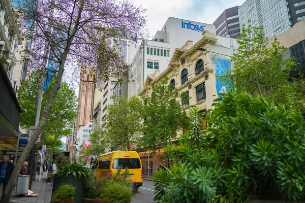 Auckland 'ın yeşil, sanayi sonrası ana caddesi, Queen Caddesi.