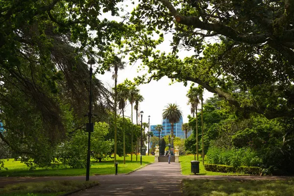 Albert Park 'ın patikalarında ağaç gövdeleri tarafından çerçevelenmiş palmiye ağaçları olan heykeller.