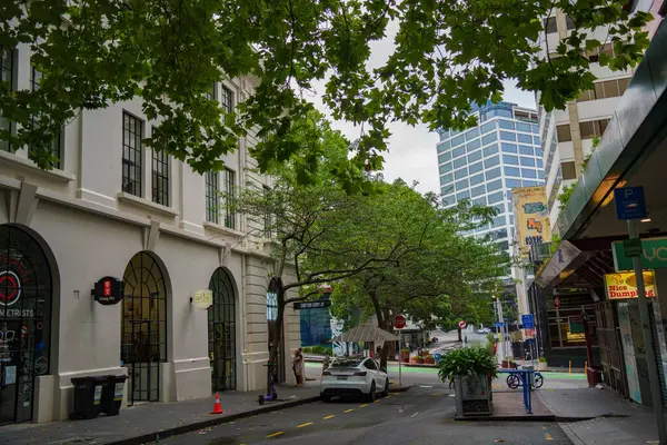 Auckland 'ın merkezinde yeşil, rahat bir cadde.