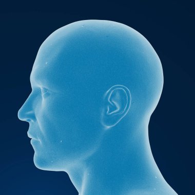 3D human head - illustration