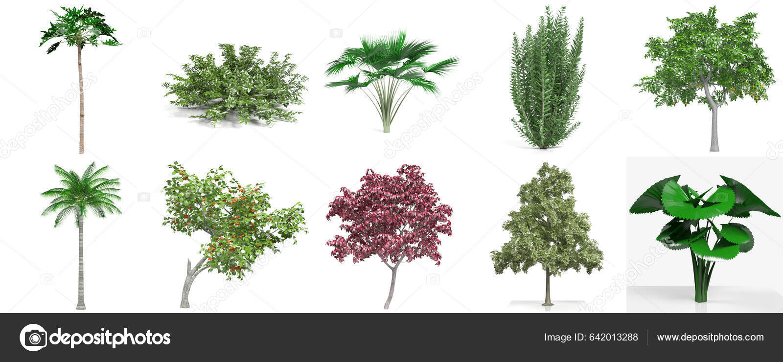 Shrub Rendering