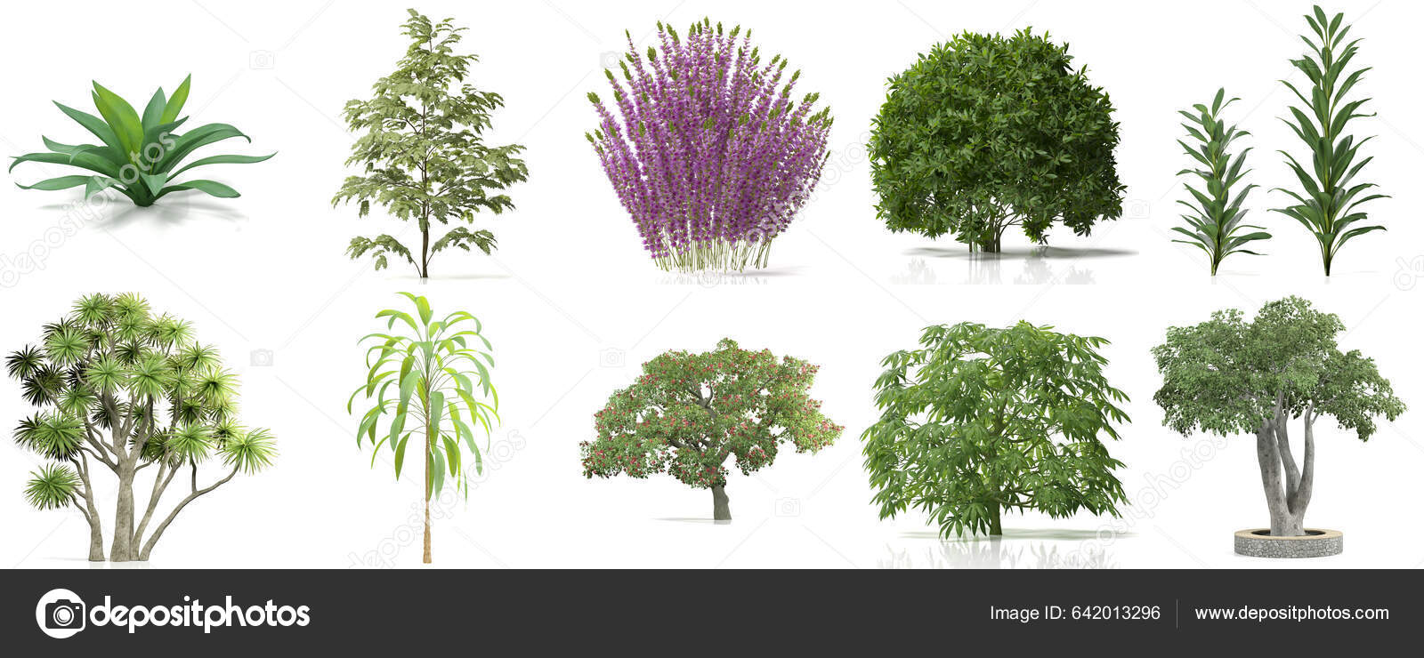 Shrub Rendering