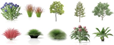 Süslü bahçe çiti ve ağaçların 3 boyutlu canlandırması