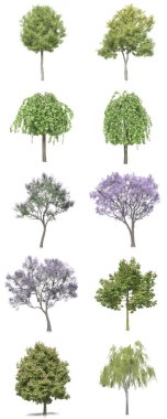 3d illustration of a set of trees