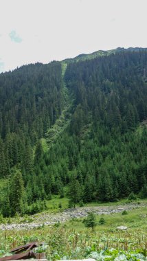 Dağları ve bulutları olan güzel bir manzara 