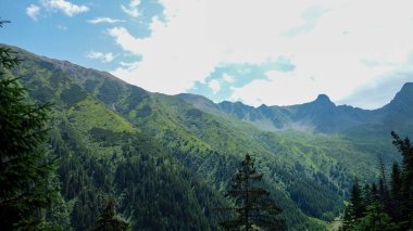 Dağların güzel manzarası 