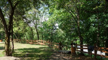 Parkın güzel manzarası 