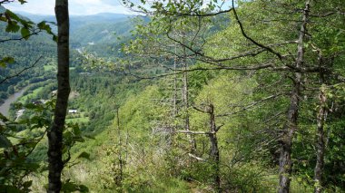 Arkasında bir dağ olan güzel bir manzara. 