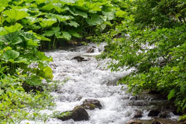 Doğanın güzel manzarası 
