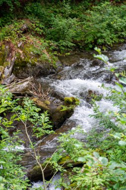 Güzel bir dağ deresi manzarası. 