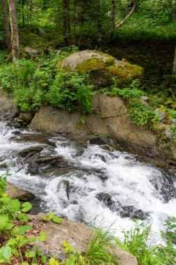 Karpat Dağları 'nın kayalıklarında küçük bir şelale, Karpat Dağları, Ukrayna 