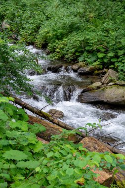 Dağlarda küçük bir dere. yüksek kaliteli fotoğraf 