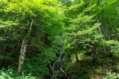 Dağlarda güzel bir şelale 