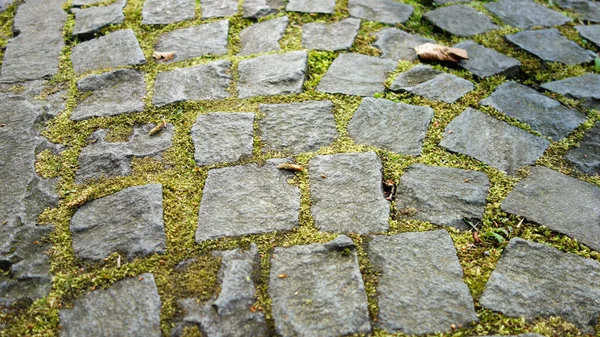 Old Stone Pavement Background Texture — Stock Photo, Image