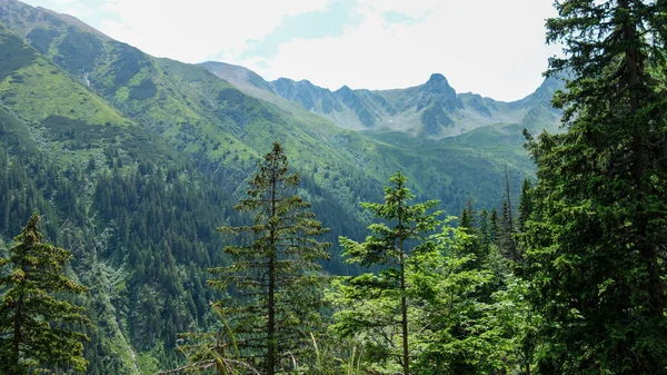 Yazın Güzel Ağaçlarla Mavi Bulutlu Gökyüzüyle Dağ Manzarası — Stok fotoğraf