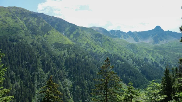 夏天喀尔巴阡山脉美丽的风景 — 图库照片