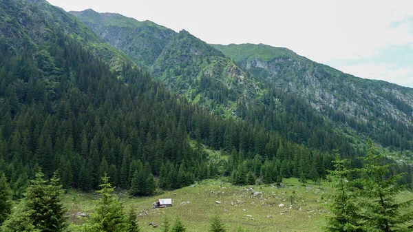 Montanha Verão Nos Cárpatos Ucranianos — Fotografia de Stock