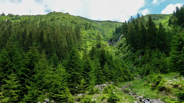 Karpatlar Daki Güzel Dağ Manzarası — Stok fotoğraf