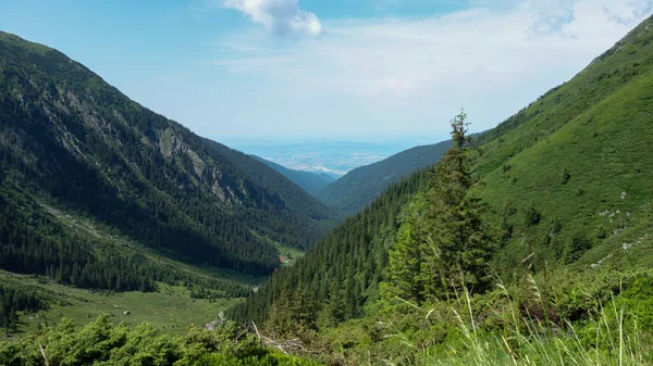 Karpatlar Yaz Dağları Manzarası — Stok fotoğraf
