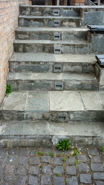 지하에 정원에서 계단들 — 스톡 사진