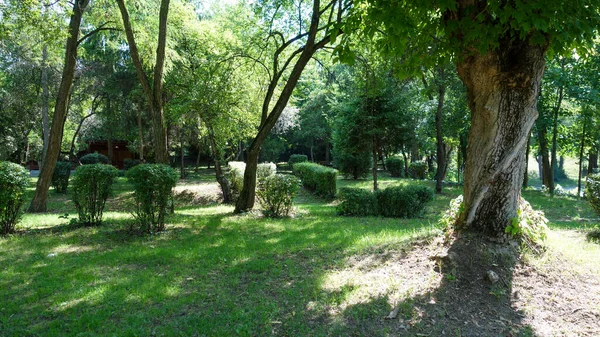 Zielony Ogród Parku — Zdjęcie stockowe