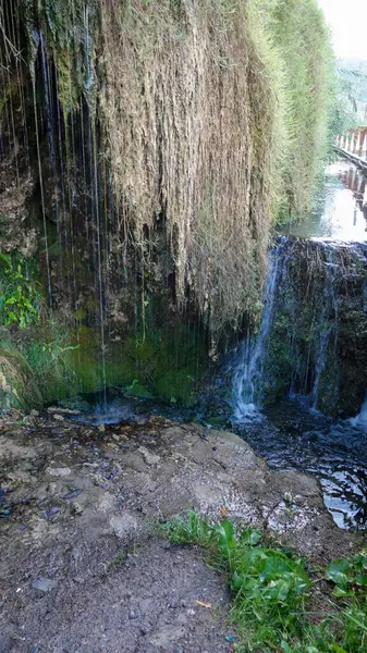 Gyönyörű Kilátás Nyílik Vízesés Erdőben — Stock Fotó