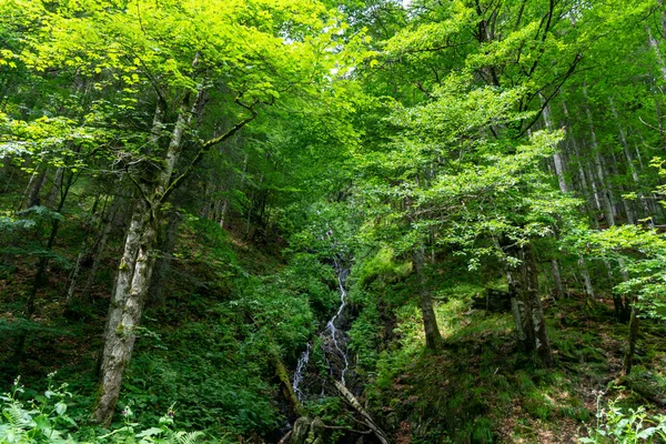 Dağlarda güzel bir şelale 