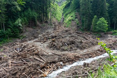 Büyük bir yol, ormanın ve yolun en büyük olduğu bir dağ yoludur. Bu çok tehlikeli bir şey. Bir sürü var. 