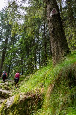 Dağlarda yürüyüş. 