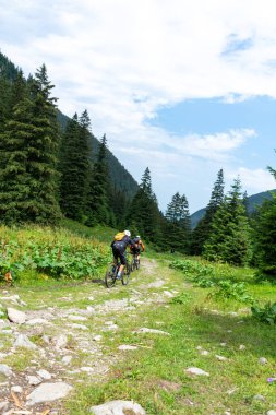 Dağ bisikletçisi bisikleti sürüyor dağlarda patikada. 