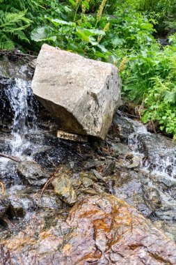 Ormanda küçük bir şelale. 