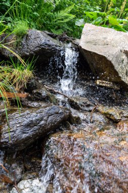 Dağ nehrinde küçük bir şelale 