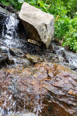 Ormanda güzel bir şelale 