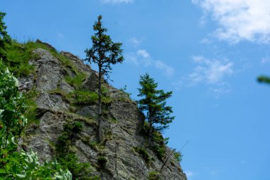 Dağların güzel manzarası 