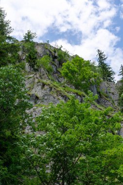 Güzel dağ manzarası, yaz 