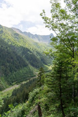Yazın dağ manzarası 