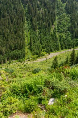Yazın dağ manzarası 