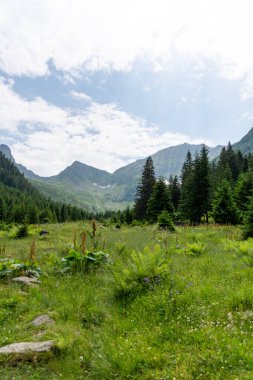 Dağları ve mavi gökyüzü olan güzel bir manzara. 