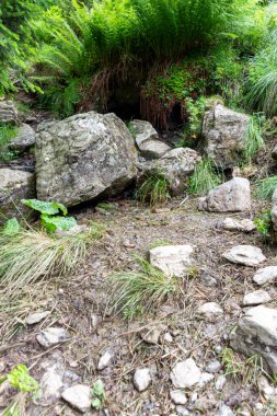 dağlarda güzel peyzaj 