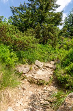 Dağ yolunda yürüyüş patikası 