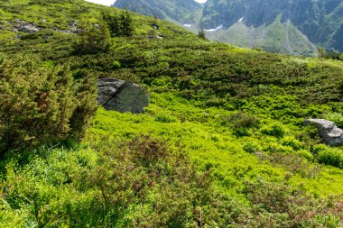 Yazın dağların güzel manzarası 