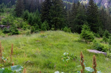 Alplerdeki güzel dağ manzarası 