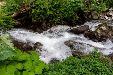 Dağlarda güzel bir şelale 