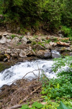 dağ nehir bir şelale. 