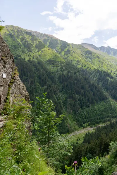 Красивий Гірський Пейзаж Горах — стокове фото