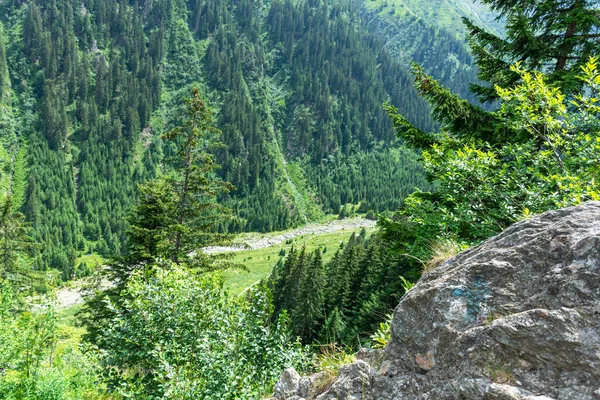 Yazın Ağaçları Ormanı Olan Güzel Dağ Manzarası — Stok fotoğraf
