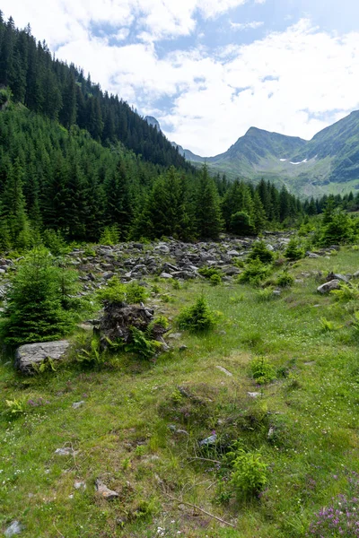 Landschaft Berghang Sommer Tal — Stockfoto