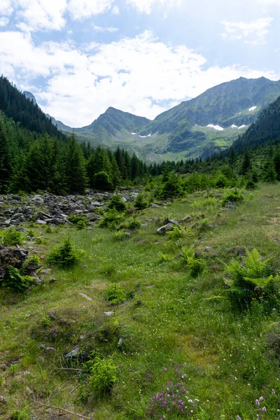 Paysage Montagne Dans Les Carpates — Photo