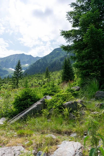 Berglandschaft Den Karpaten Sommer — Stockfoto